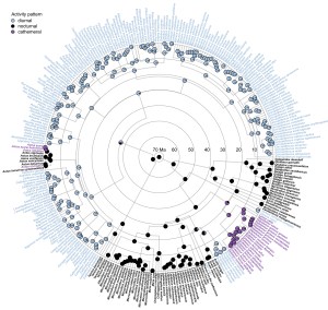 Santini, Rojas, Donati 2015, BE